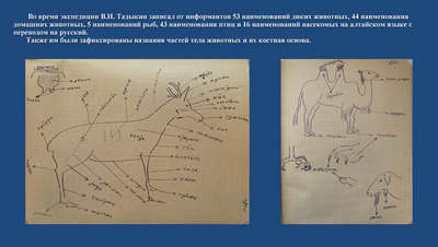 Иллюстративный этнографический материал  в экспедиционных записях В.Н. Тадыкина